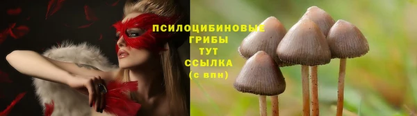 каннабис Балахна